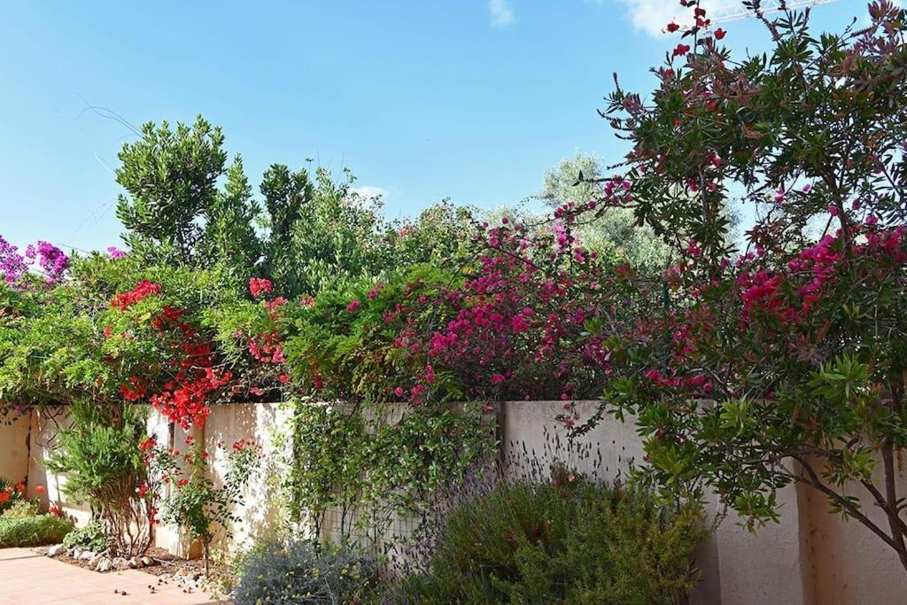 200mq Patio, L'oasi Di Appartement Alghero